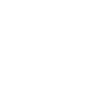 Fundació Carles Pi i Sunyer d'estudis autonòmics i locals